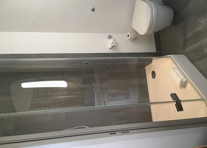 Ibis Est Mendes France